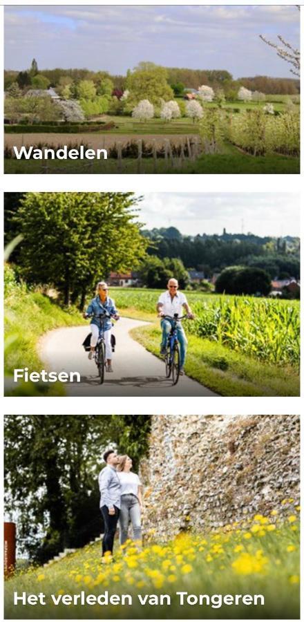 Vakantiehuisje Vds Tongeren Eksteriør billede